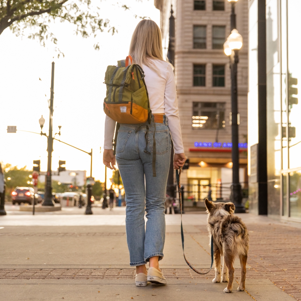 K9 Sport Sack® Urban Leafy